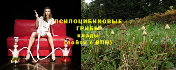 соль ск Абаза