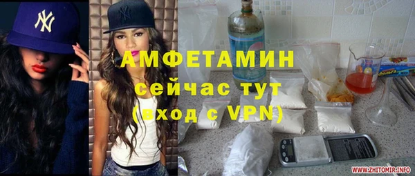 крисы Алзамай