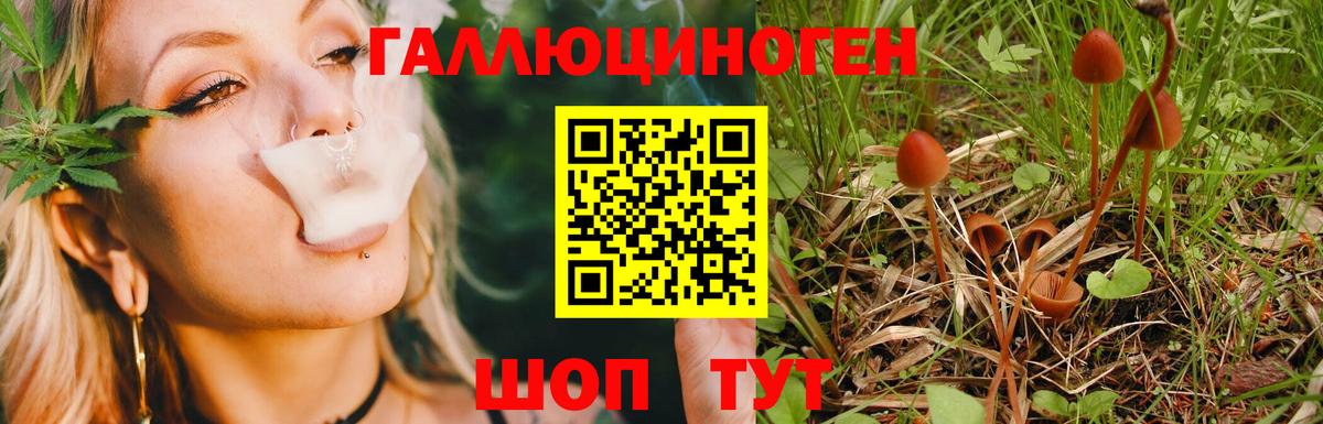 Псилоцибиновые грибы Magic Shrooms Курск