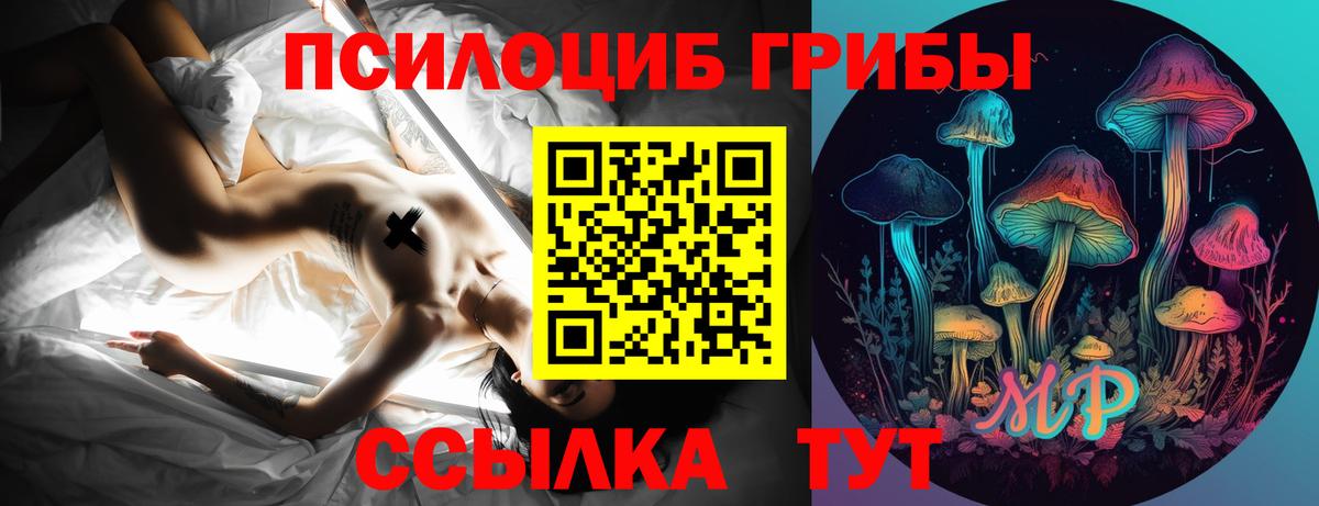 Курск  Псилоцибиновые грибы Cubensis  Вход с VPN 